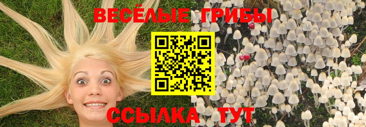 Псилоцибиновые грибы MAGIC MUSHROOMS  Вход с VPN  Усть-Джегута  Псилоцибиновые грибы прущие грибы 