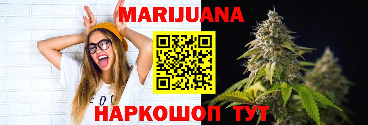 Конопля сатива Усть-Джегута